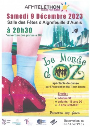 affiche maite danse